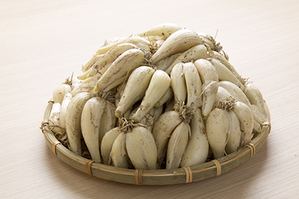 清流米