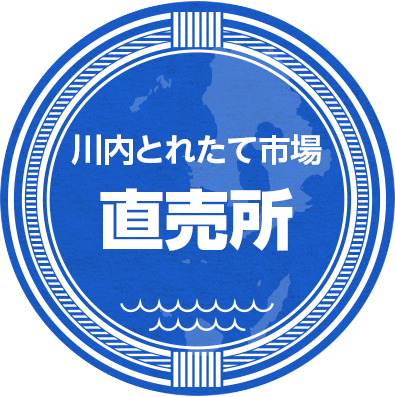 漁協直営川内とれたて市場 旬の魚介の海鮮料理 川内市港町